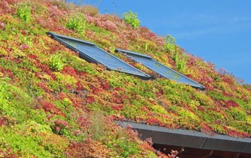 Boothby Pagnell living roof systems
